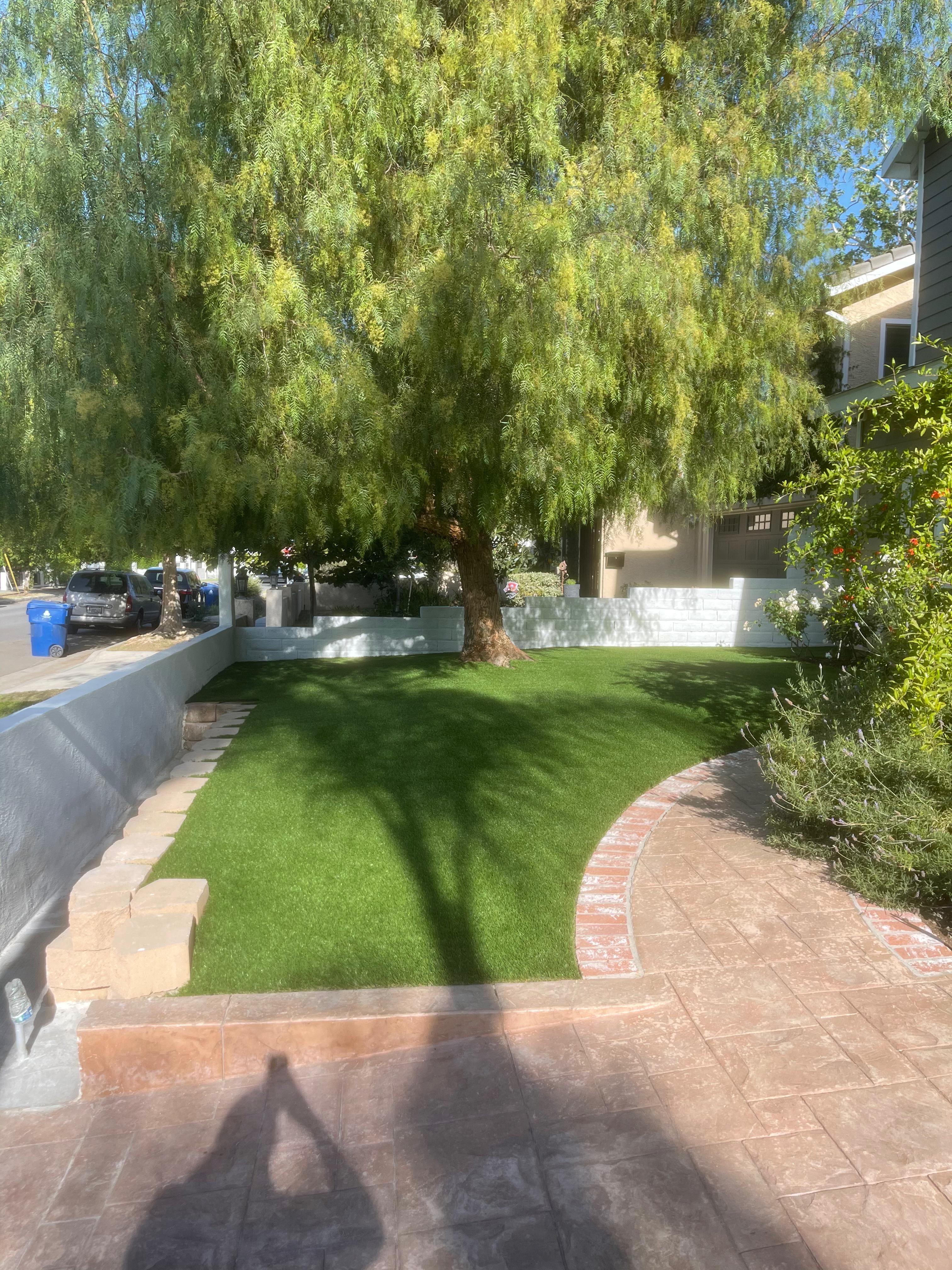 Front yard with willow tree and stamped concrete path
